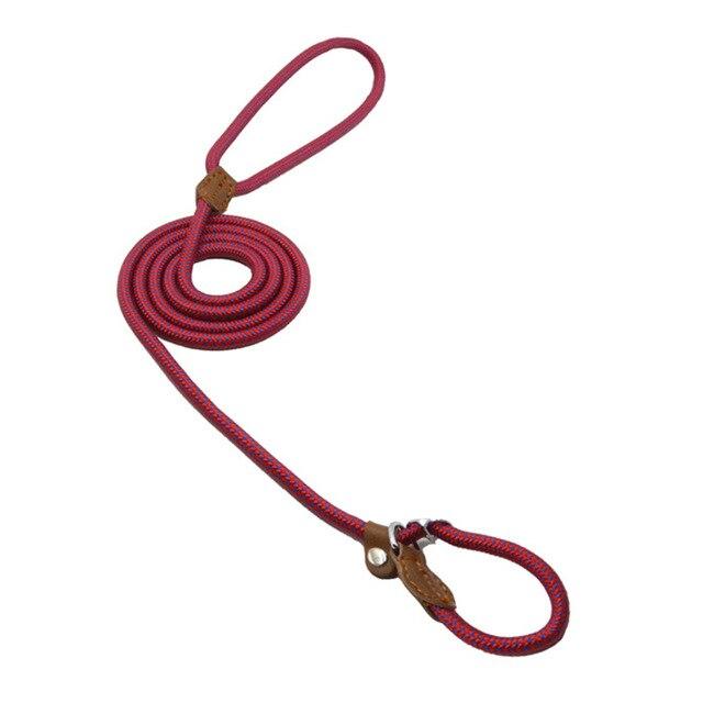 PET ACCESSORIES