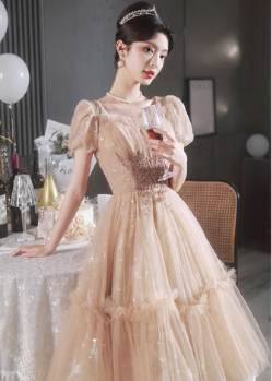 EVERYDAY NEEDS AND WANTS French Fairy Dress