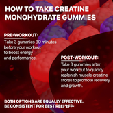 EVERYDAY NEEDS AND WANTS Muscle Boost Gummies