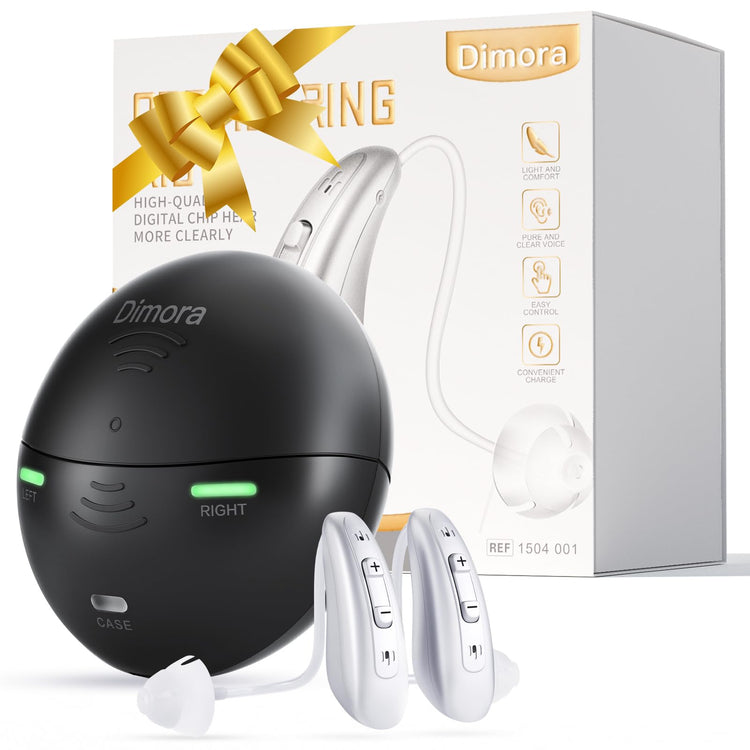 EVERYDAY NEEDS AND WANTS Dimora BTE Hearing Aid