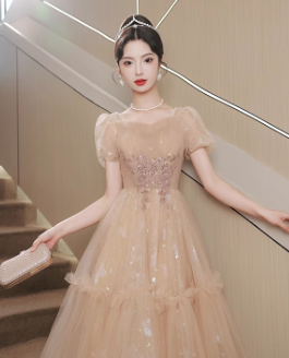 EVERYDAY NEEDS AND WANTS French Fairy Dress