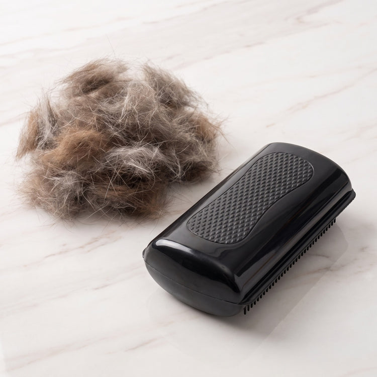EVERYDAY NEEDS AND WANTS Pet Grooming Comb