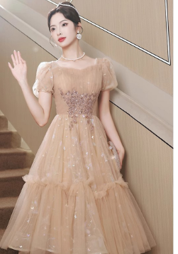 EVERYDAY NEEDS AND WANTS French Fairy Dress