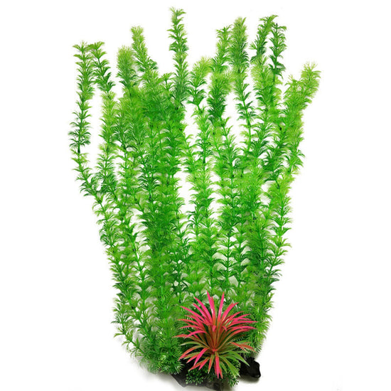 Saim Aquarium Decor Plastic Plants Extra Large – Everyday Needs and Wants