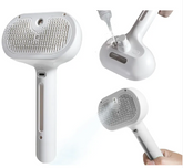 EVERYDAY NEEDS AND WANTS Pet Hair Spray Brush