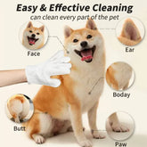 EVERYDAY NEEDS AND WANTS Pet Cleaning Gloves