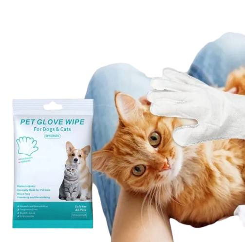 EVERYDAY NEEDS AND WANTS Pet Cleaning Gloves