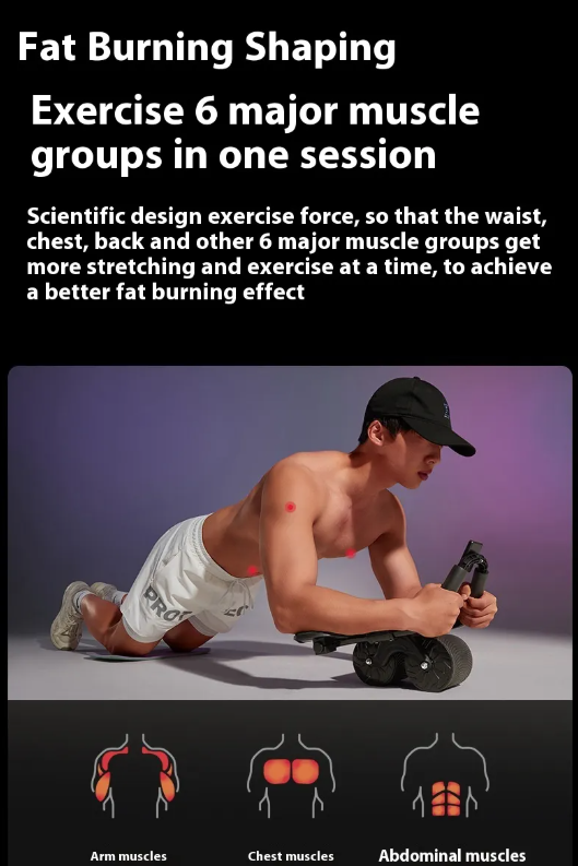 EVERYDAY NEEDS AND WANTS Abdominal Fitness Wheel