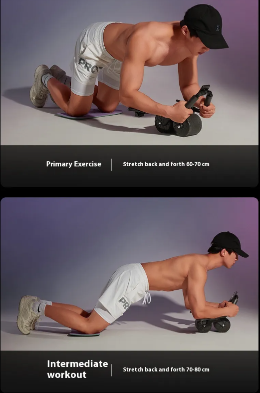 EVERYDAY NEEDS AND WANTS Abdominal Fitness Wheel