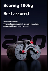 EVERYDAY NEEDS AND WANTS Abdominal Fitness Wheel