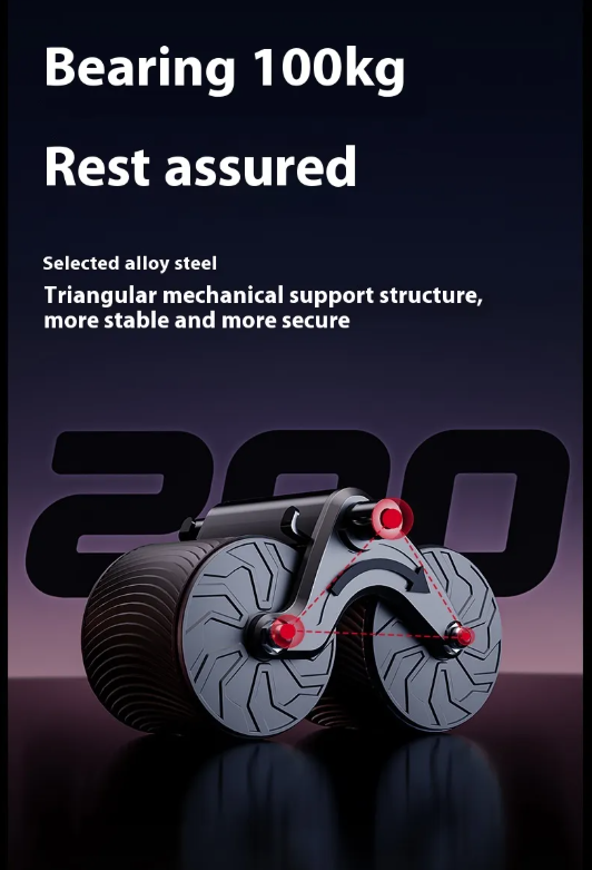 EVERYDAY NEEDS AND WANTS Abdominal Fitness Wheel