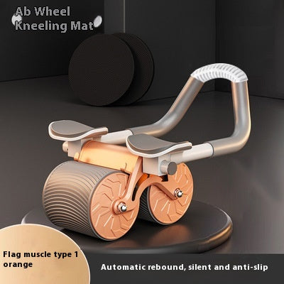 EVERYDAY NEEDS AND WANTS Abdominal Fitness Wheel