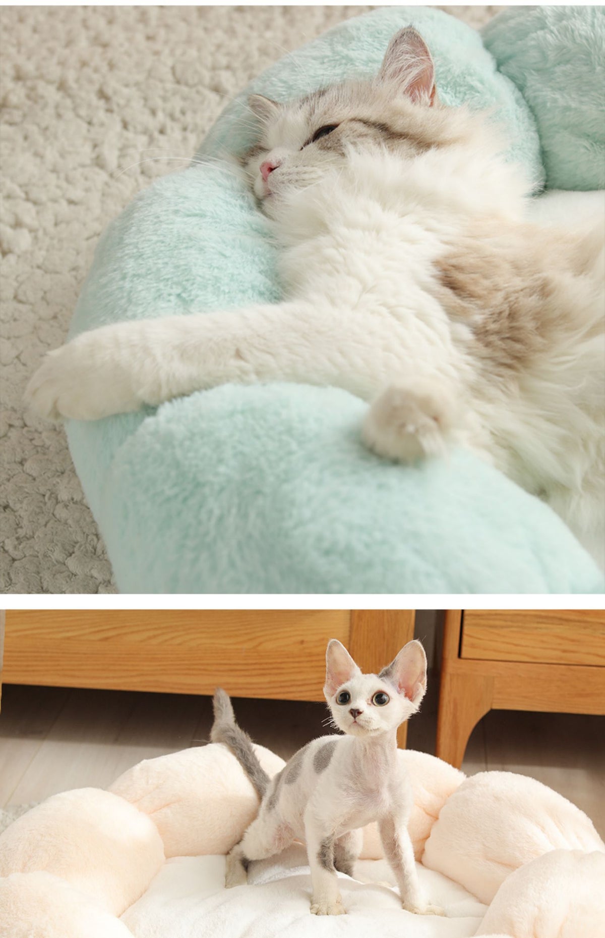 EVERYDAY NEEDS AND WANTS Washable Pet Bed
