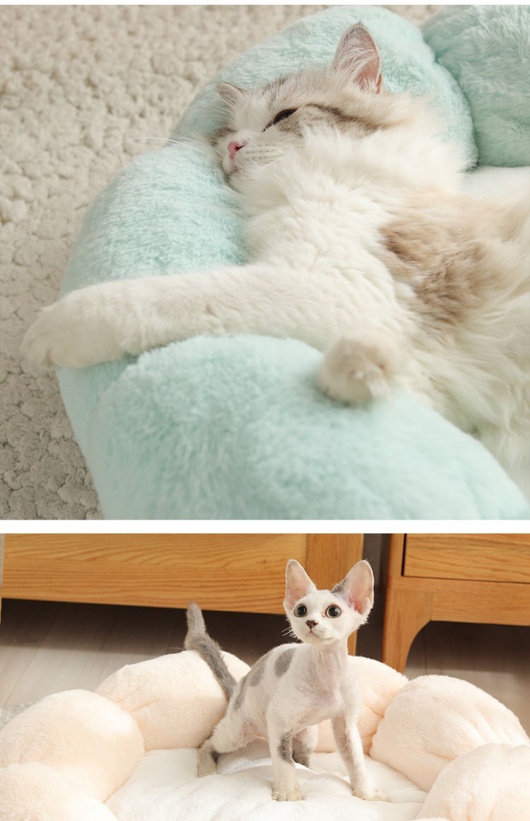 EVERYDAY NEEDS AND WANTS Washable Pet Bed