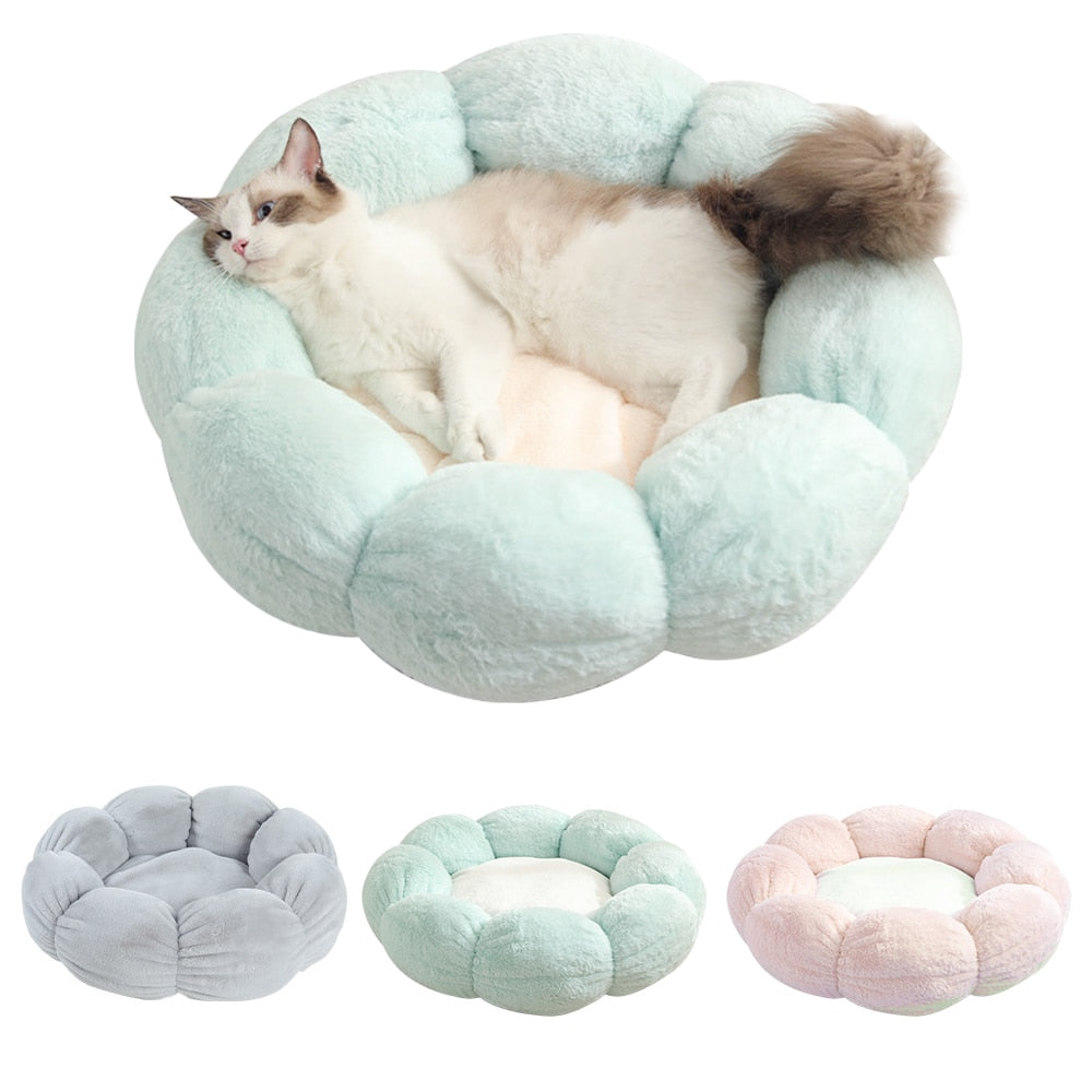 EVERYDAY NEEDS AND WANTS Washable Pet Bed