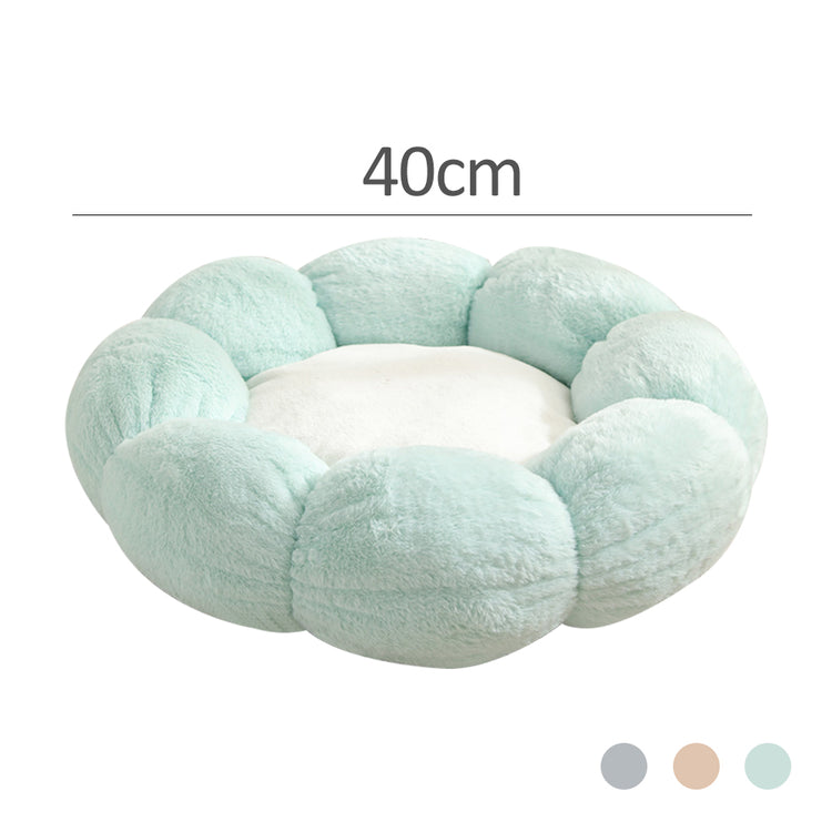EVERYDAY NEEDS AND WANTS Washable Pet Bed