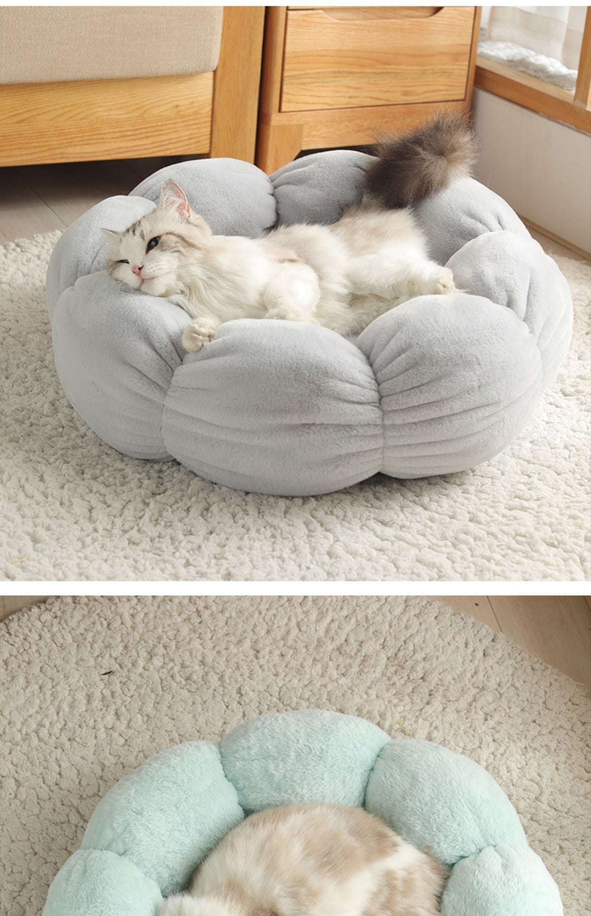 EVERYDAY NEEDS AND WANTS Washable Pet Bed