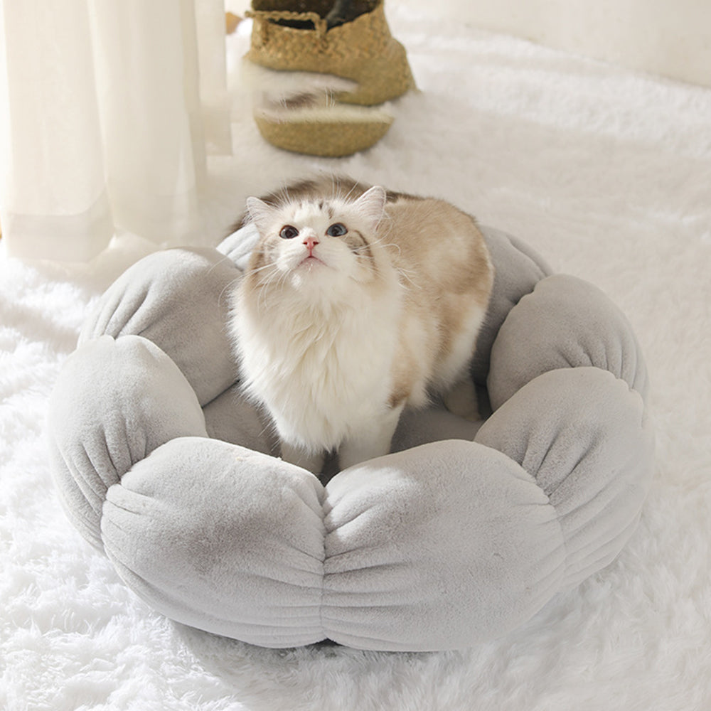 EVERYDAY NEEDS AND WANTS Washable Pet Bed