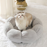 EVERYDAY NEEDS AND WANTS Washable Pet Bed