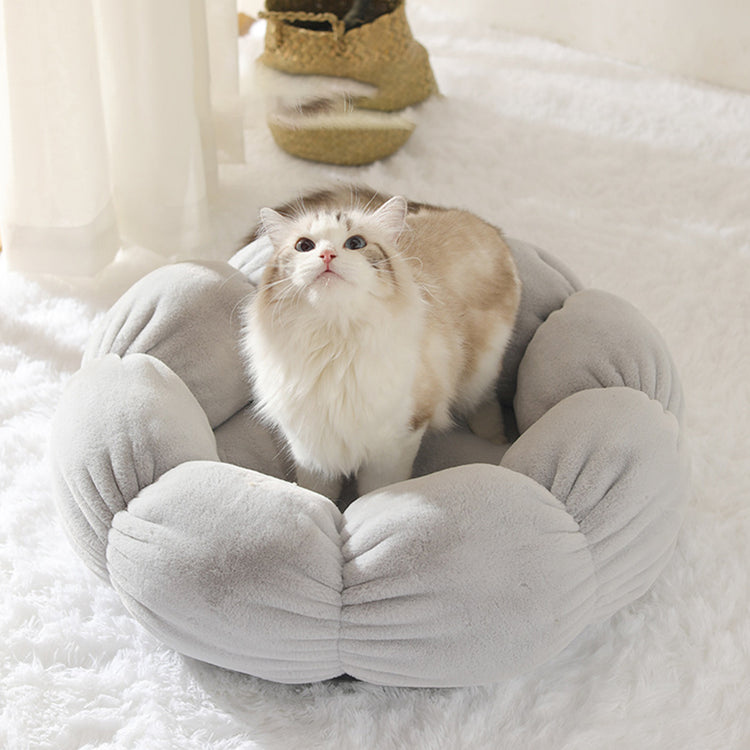 EVERYDAY NEEDS AND WANTS Washable Pet Bed