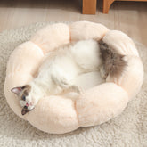 EVERYDAY NEEDS AND WANTS Washable Pet Bed