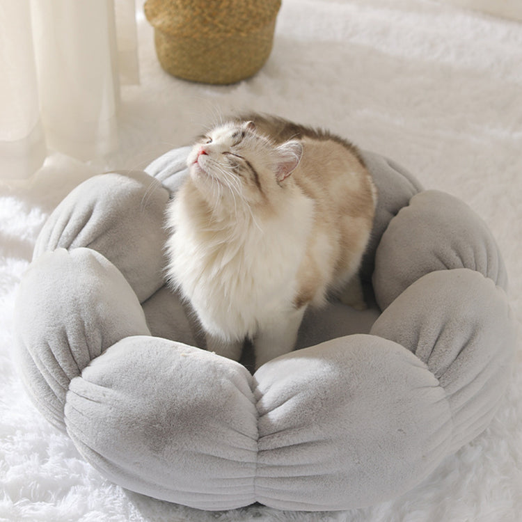 EVERYDAY NEEDS AND WANTS Washable Pet Bed