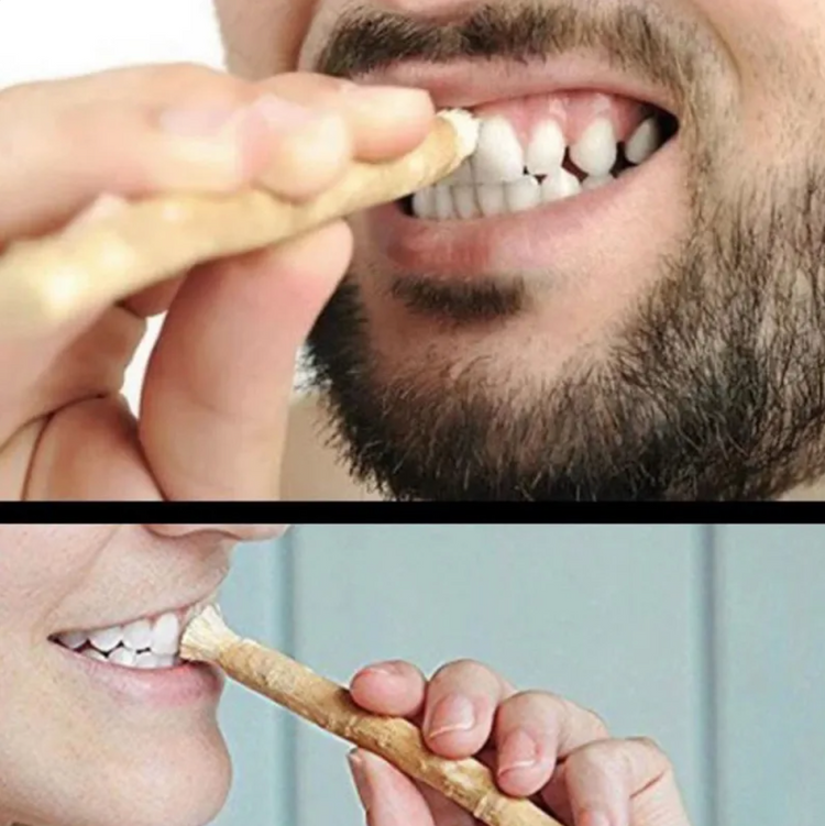 EVERYDAY NEEDS AND WANTS Miswak Tooth Stick