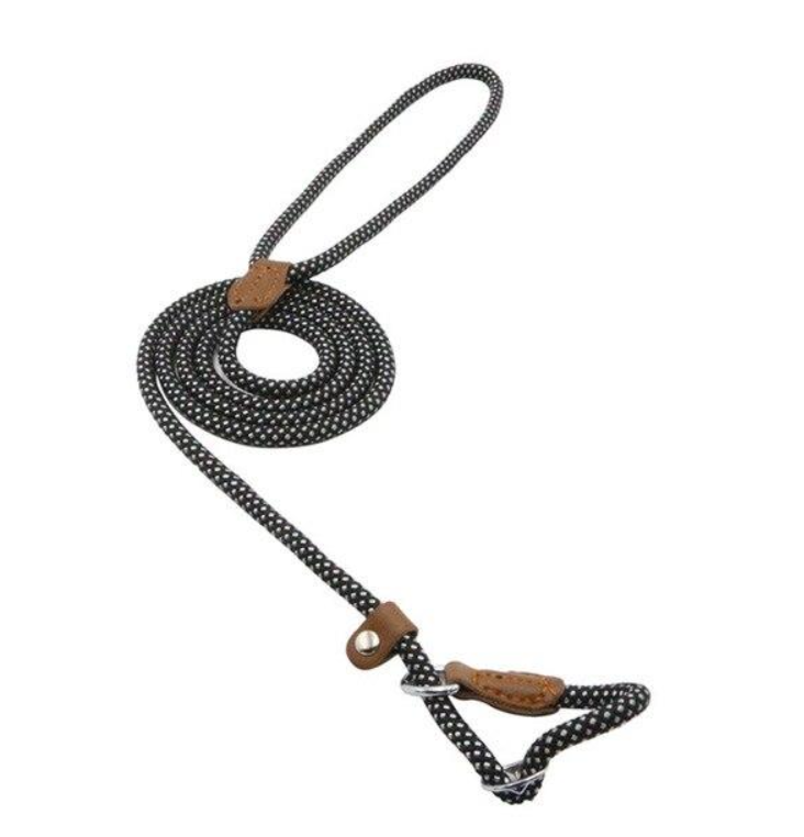 EVERYDAY NEEDS AND WANTS Nylon Pup Set