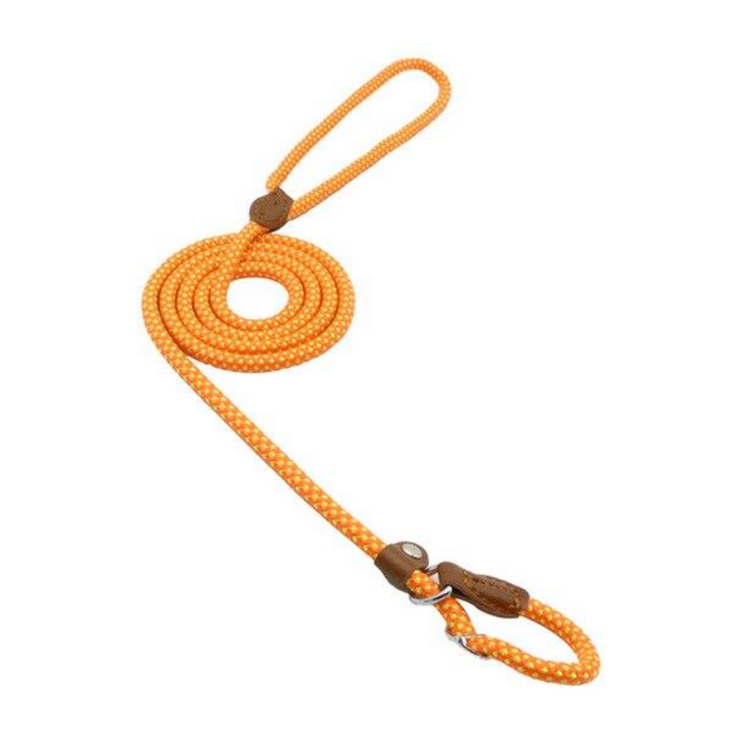 EVERYDAY NEEDS AND WANTS Nylon Pup Set