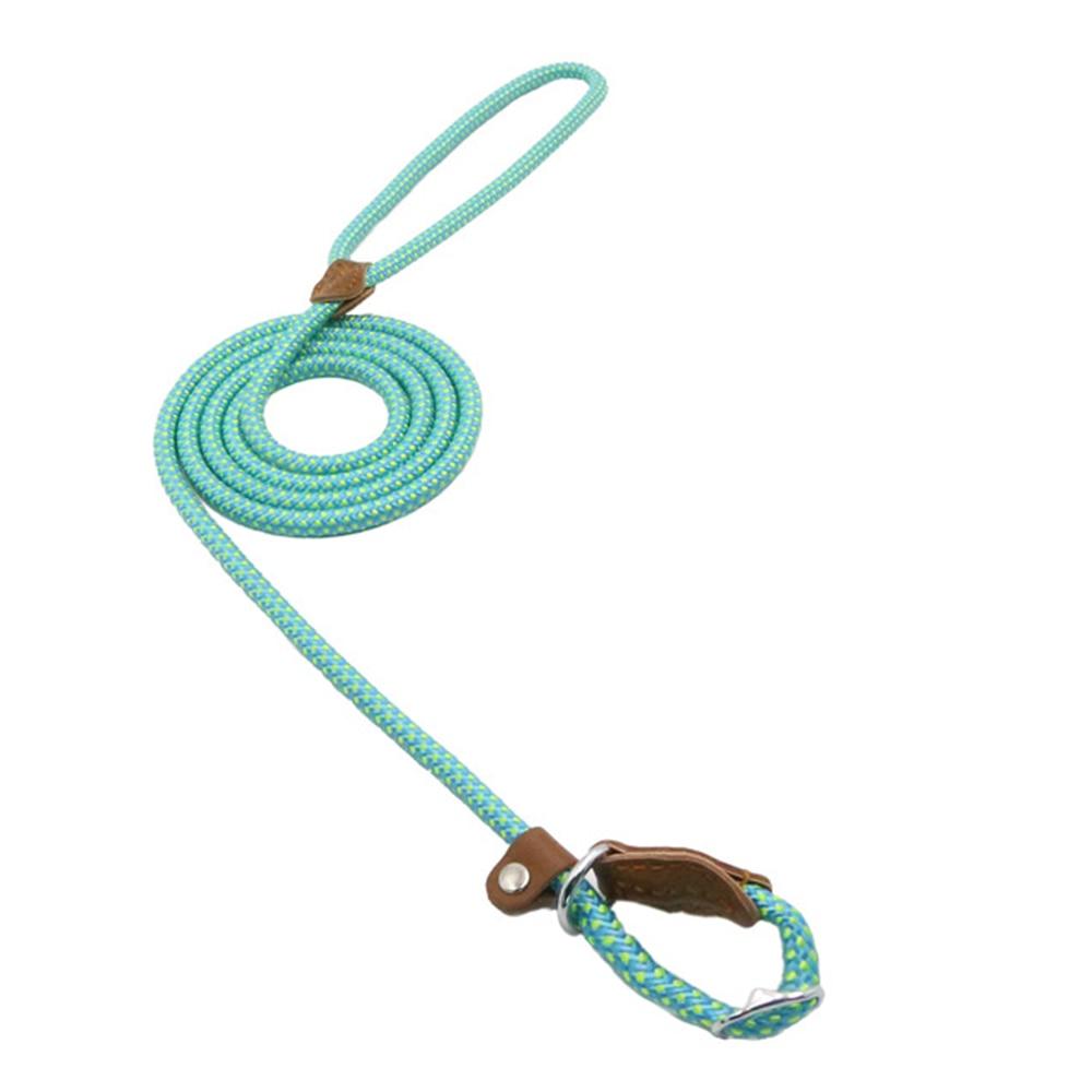 EVERYDAY NEEDS AND WANTS Nylon Pup Set