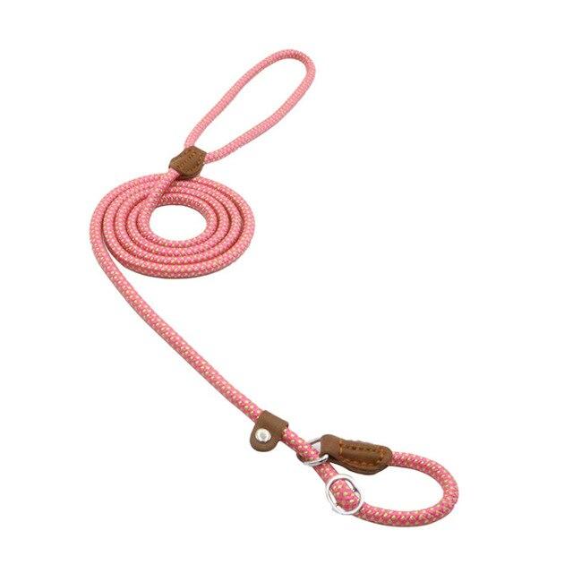 EVERYDAY NEEDS AND WANTS Nylon Pup Set