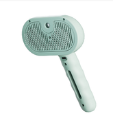 EVERYDAY NEEDS AND WANTS Pet Steam Grooming Brush