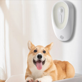 EVERYDAY NEEDS AND WANTS Litter Box Odor Eliminator