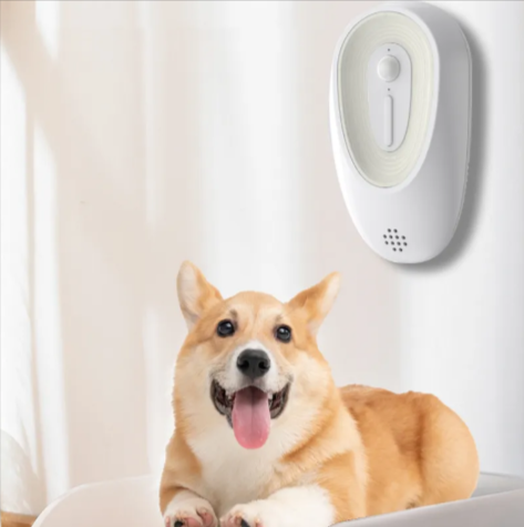 EVERYDAY NEEDS AND WANTS Litter Box Odor Eliminator
