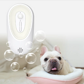 EVERYDAY NEEDS AND WANTS Litter Box Odor Eliminator