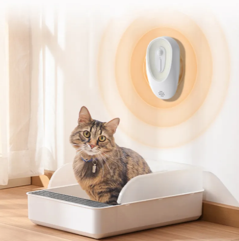 EVERYDAY NEEDS AND WANTS Litter Box Odor Eliminator