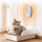 EVERYDAY NEEDS AND WANTS Litter Box Odor Eliminator