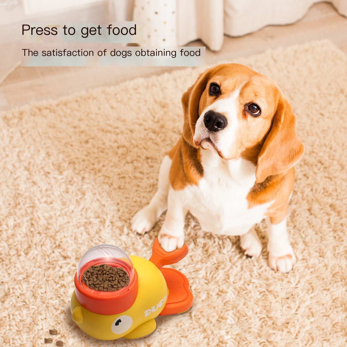 EVERYDAY NEEDS AND WANTS Intelligent Automatic Pet Feeder