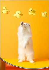 Automatic electric duck cat toy from My Store, featuring a playful yellow duck design with moving parts for feline entertainment.